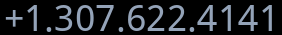 Office telephone number